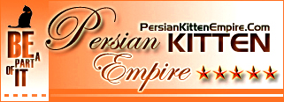 Persian Kitten Empire